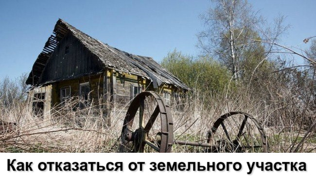 Как отказаться от земельного участка Как отказаться от земельного участка