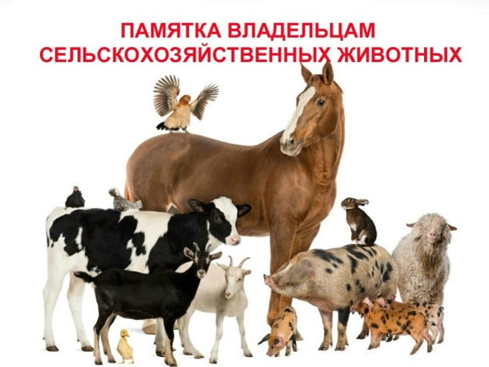 Вниманию владельцам с/х животных и птиц.